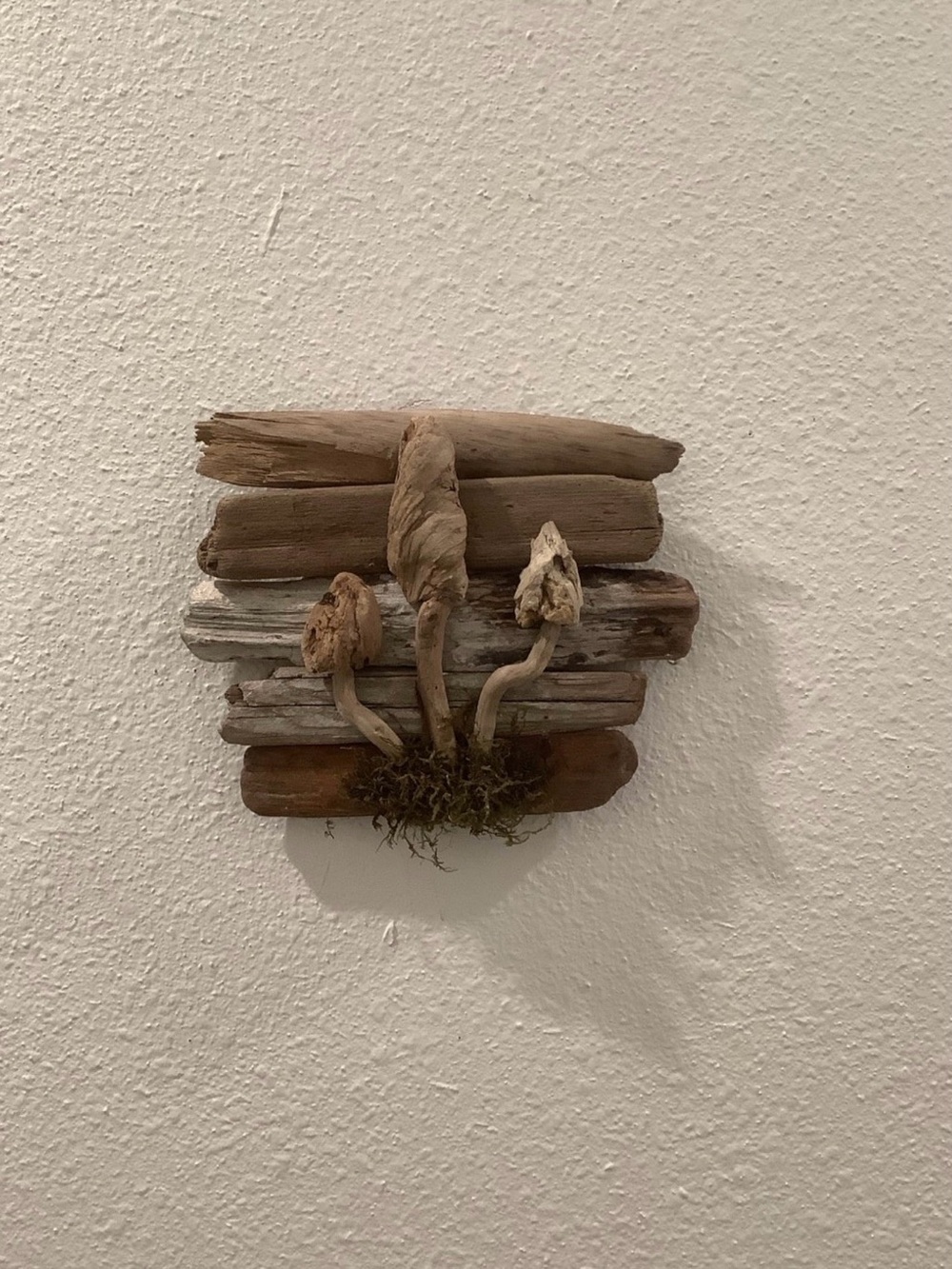Driftwood Art , Driftwood Mushrooms , Mushroom Art, Driftwood Coastal Decor